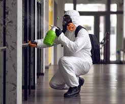  , USA Mold Prevention & Removal Pros